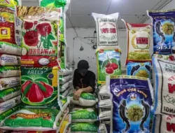 Beras Premium Lokal Bebas PPN 12 Persen, Bapanas Pastikan Lindungi Konsumen dan Petani